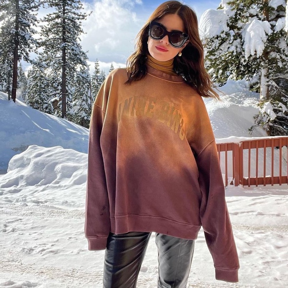 Anine Bing Brown and Gold Ombre Sweatshirt - Picture 3 of 14